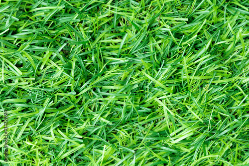 Green artificial grass nature background