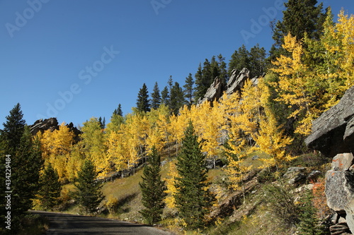 Fall colors along a road in Bighorn Mountains, Wyoming