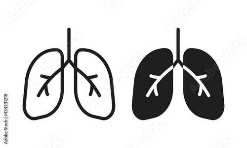 Lungs icon, Lungs symbol vector