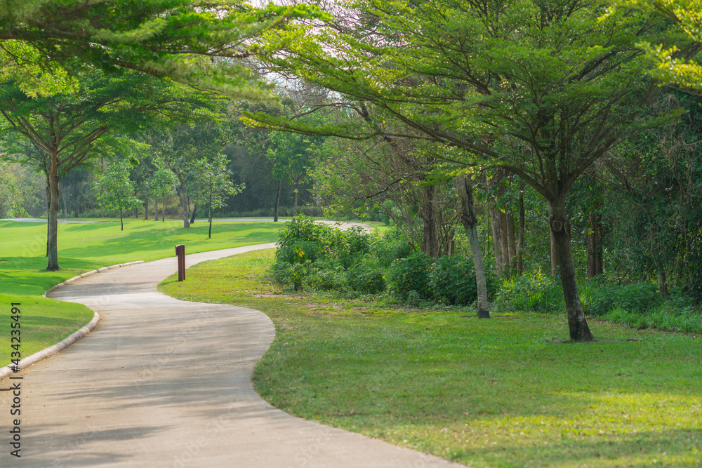 pathway and beautiful trees track for running or walking relax in the park on green grass field on the side of the golf course