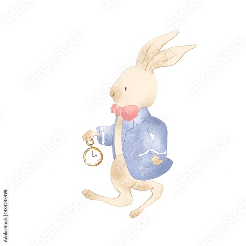 Alice's teatime with rabbit 