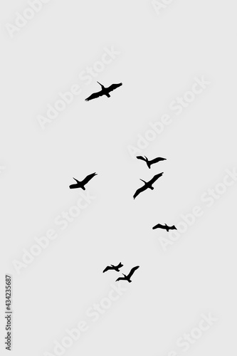 Abstract illustration. Poster. Drawing of a birds in the sky. © Евгения Кушнерик