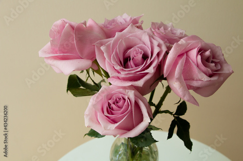 Fresh Pink Roses bouquet with water drops in beige background  indoors