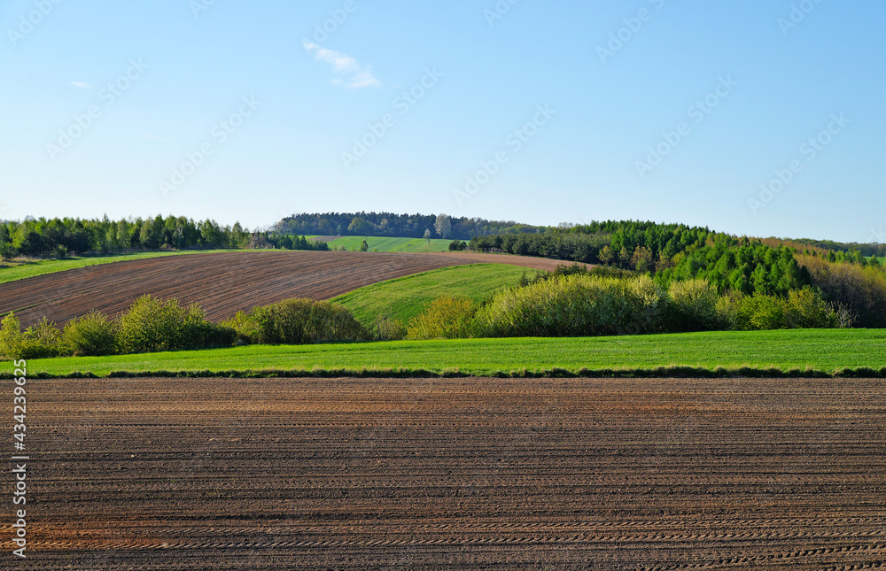 Cultivated fields meadows rural landscape
