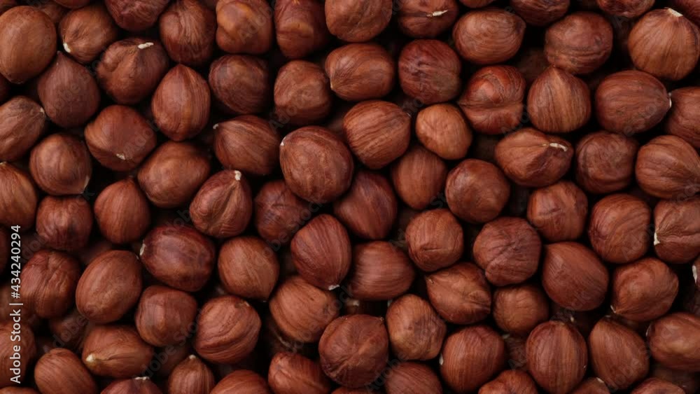 hazelnuts close up. Healthy food concept. Sliding shot. 4K UHD video hazelnuts close up. Healthy food concept. Sliding shot. 4K UHD video