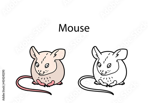 Funny cute animal mouse isolated on white background. Linear, contour, black and white and colored version of pet. Illustration can be used for coloring book and pictures for children © Anna Tyukhmeneva