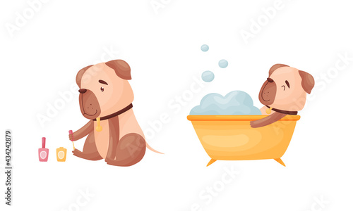 Cartoon Pug Dog Character Grooming Bathing in Bathtub and Painting Nails Vector Set