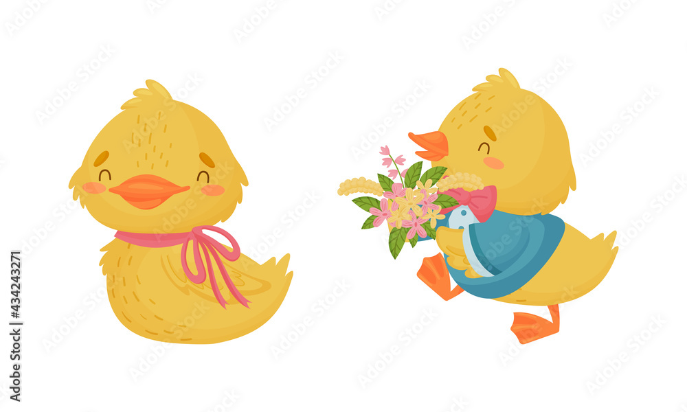 Fototapeta premium Cute Yellow Duckling Carrying Bunch of Flowers and Sitting Vector Set