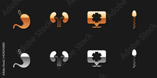 Set Human stomach, kidneys, Medical symbol of the Emergency and Sperm icon. Vector