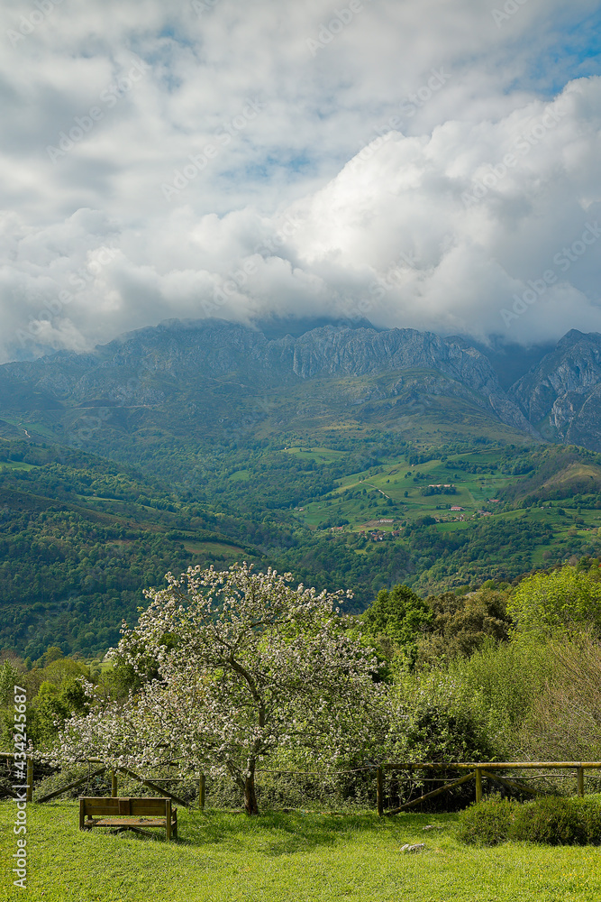 Picos de Europa taken from the viewpoint of the town of Asiego, Cabrales, Asturias, Spain