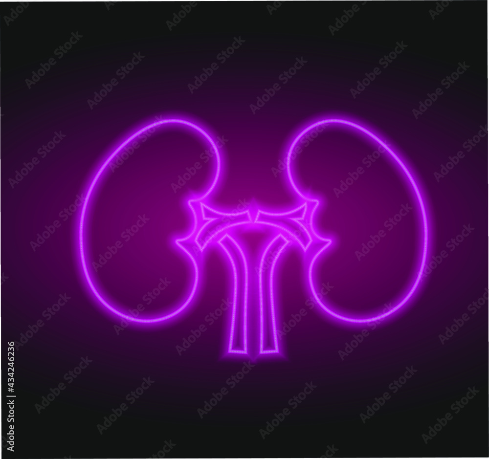 Neon human kidneys icon in line style. Urinary system part symbol. Vector illustration. kidney line icon. Elements of Medicine in neon style icons. Simple icon for websites, web design, mobile app Neon human kidneys icon in line style. Urinary system part symbol. Vector illustration. kidney line icon. Elements of Medicine in neon style icons. Simple icon for websites, web design, mobile app