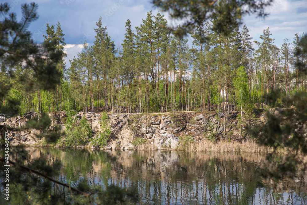 Fototapeta premium reeds on the river