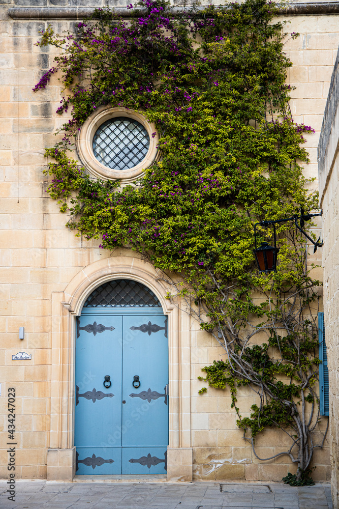Ivy growing over the blue doorway of a monastery in Mdina, Malta