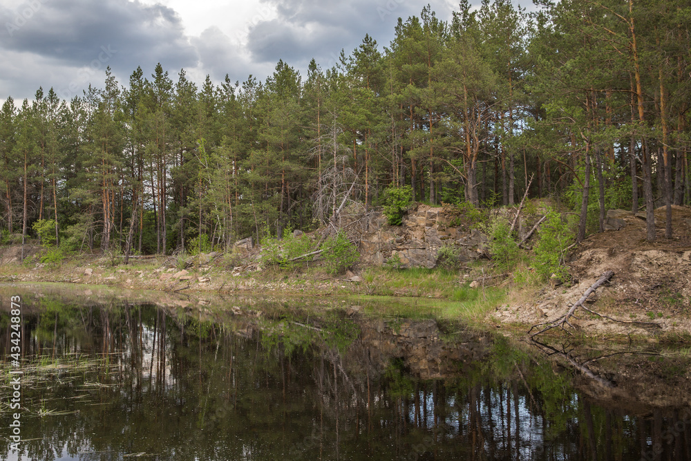 Obraz premium forest lake in the morning