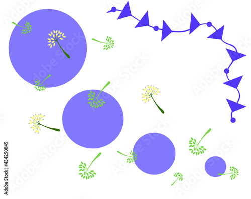 Lilac circles and dill inflorescences on a white background