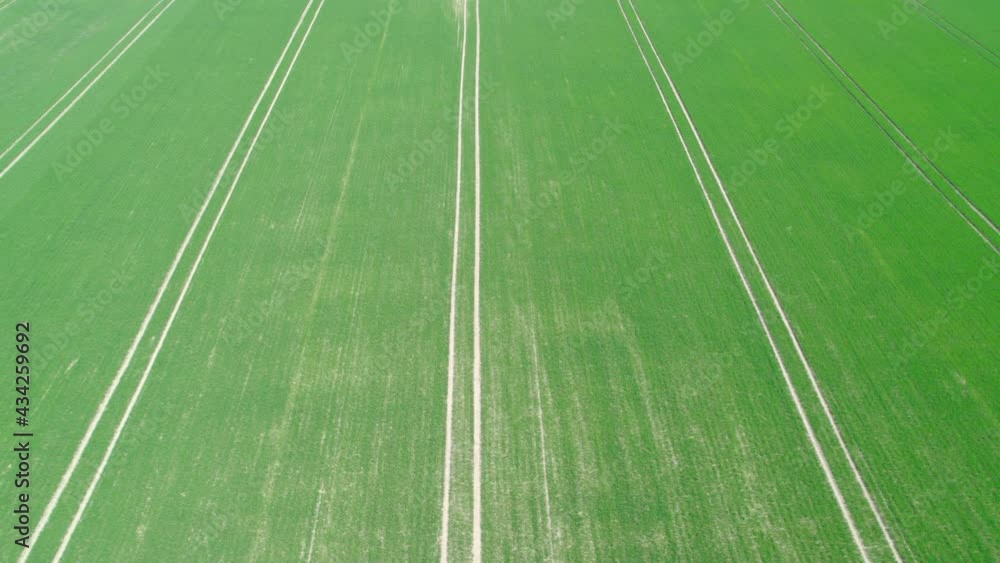 Flight over the young grain, juicy fresh green. View of large farmland. Flight over the young grain, juicy fresh green. View of large farmland.