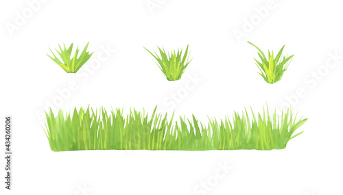 Grass isolated on a white background. Green watercolor horizontal grass clipart. Hand-drawn landscape illustration. Bright freshness plants border for your design. Outdoor object.