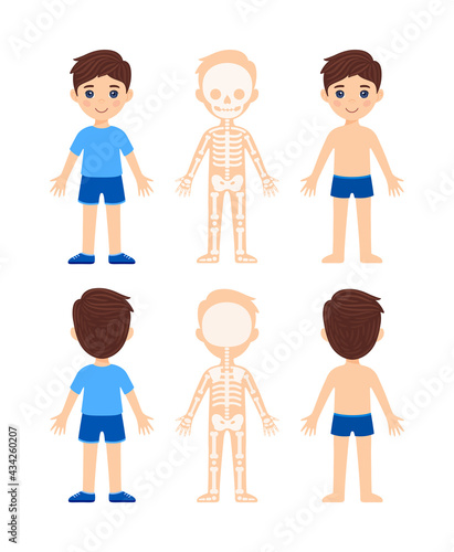 Isolated cute young boys in clothes, shorts,shoes,tshirt and underwear. Front and back views. The skeleton of a child. Color cartoon flat style. White background. Vector stock illustration.
