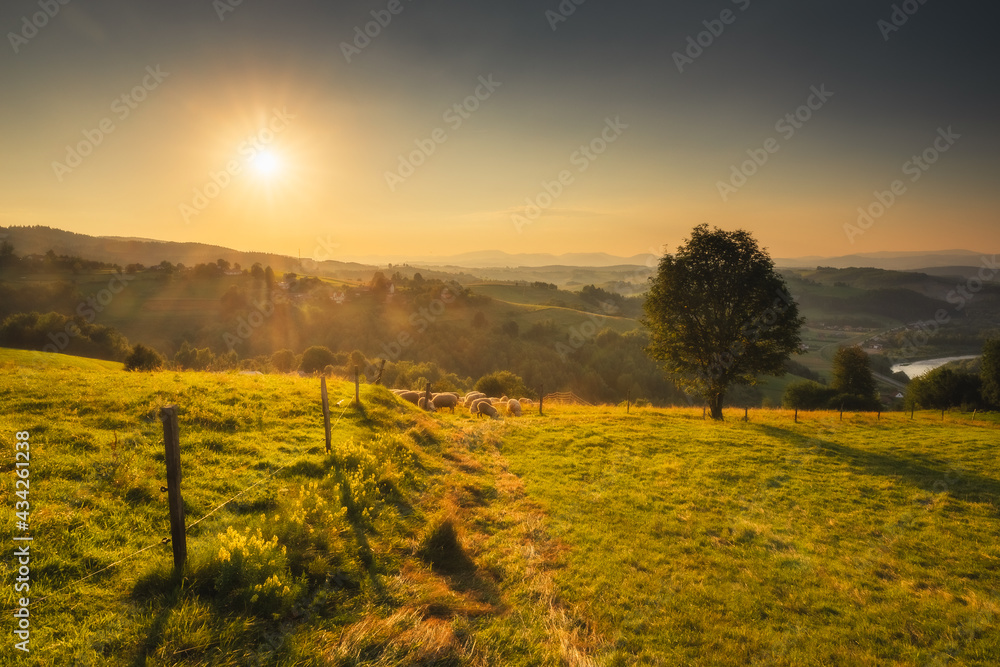Obraz premium Beskid Sądecki on a warm summer afternoon. Natural views with beautiful landscapes.