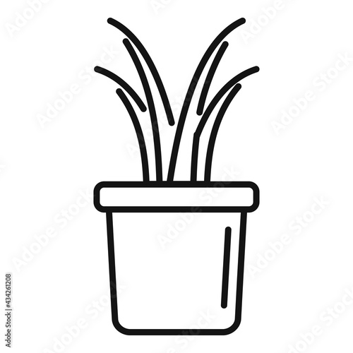 Succulent plant pot icon, outline style