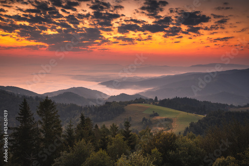 Summer morning seen from the observation tower in Koziarz in the Beskid Sądecki. Natural landscapes with great views.