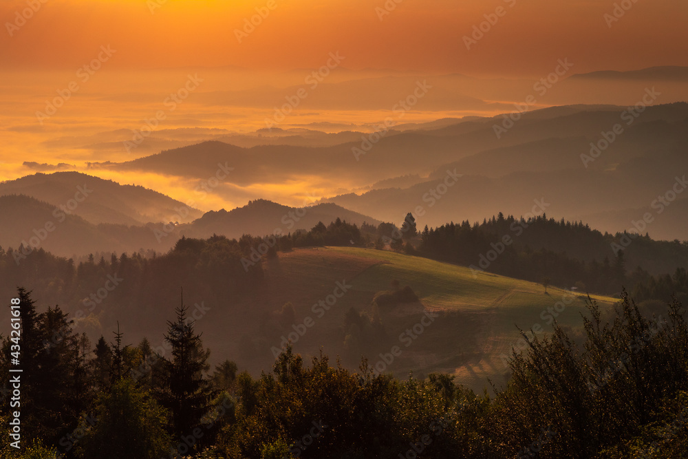 Summer morning seen from the observation tower in Koziarz in the Beskid Sądecki. Natural landscapes with great views. Summer morning seen from the observation tower in Koziarz in the Beskid Sądecki. Natural landscapes with great views.
