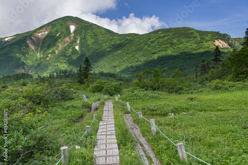 夏の火打山