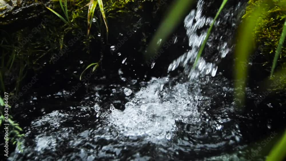View of the old forest spring with clear water View of the old forest spring with clear water