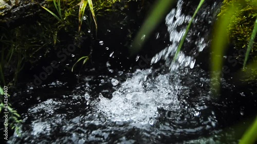 View of the old forest spring with clear water photo