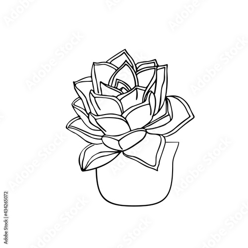 Line art black tropical potted house plant succulent sempervivum machogany isolated on white background. Stock vector illustration.