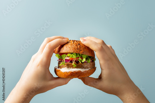 Quadro su tela Hands holding burger