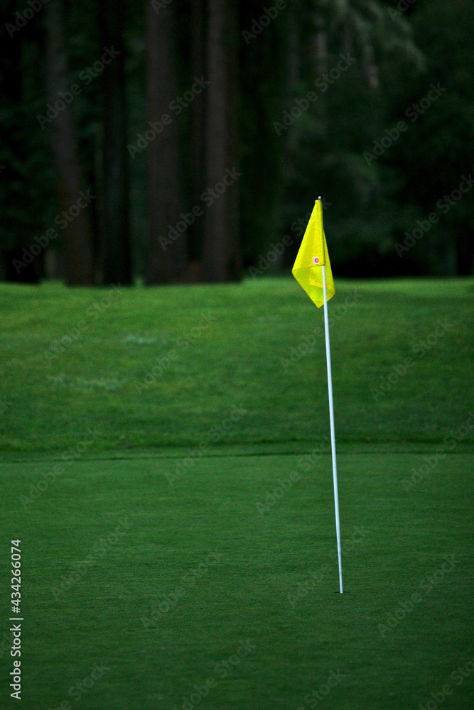 Obraz premium golf course with flag