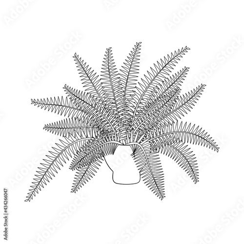 Line art black tropical potted house plant fern isolated on white background. Stock vector illustration.