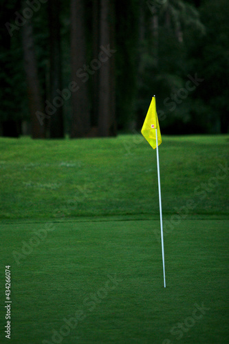 golf course with flag