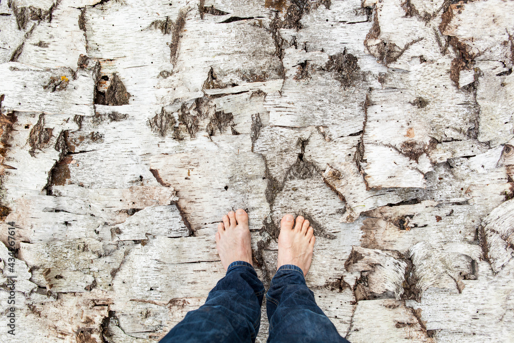 Feet on birch bark. Feel the structure of nature. Füße auf Birkenrinde. Natur struktur fühlen. Feet on birch bark. Feel the structure of nature. Füße auf Birkenrinde. Natur struktur fühlen.