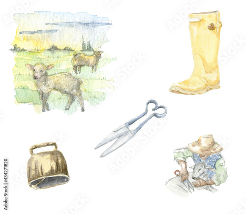 Fototapeta Naklejka Na Ścianę i Meble -  Set of watercolor illustrations of farming sheep shearing . Hand drawn watercolor painting of sheep, scissors, bell, rubber boots, vista on white background.