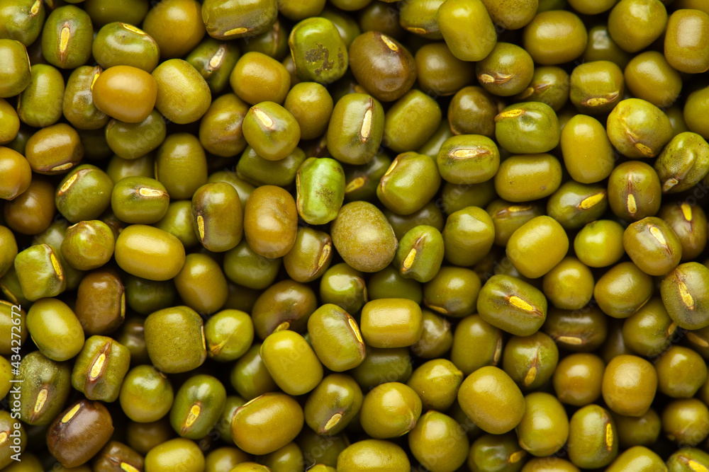 micro Close up of Organic green Gram (Vigna radiata) or whole green moong dal Full-Frame Background. Top View micro Close up of Organic green Gram (Vigna radiata) or whole green moong dal Full-Frame Background. Top View