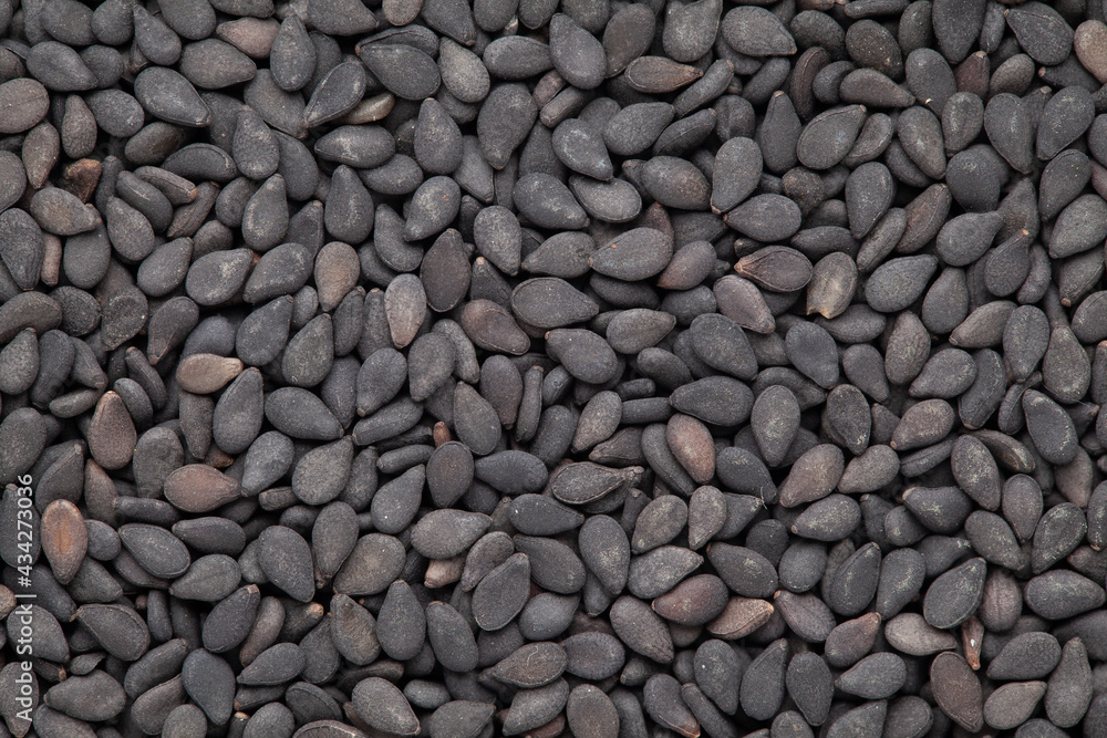 micro Close-Up of Organic Black Sesame seeds (Sesamum indicum) or Black Til with shell Full-Frame Background. Top View micro Close-Up of Organic Black Sesame seeds (Sesamum indicum) or Black Til with shell Full-Frame Background. Top View