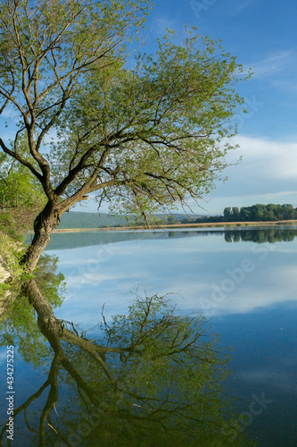 Beautiful Landscape with lake and trees. Amazing Nature in Europe. Lovely place to visit this summer.
