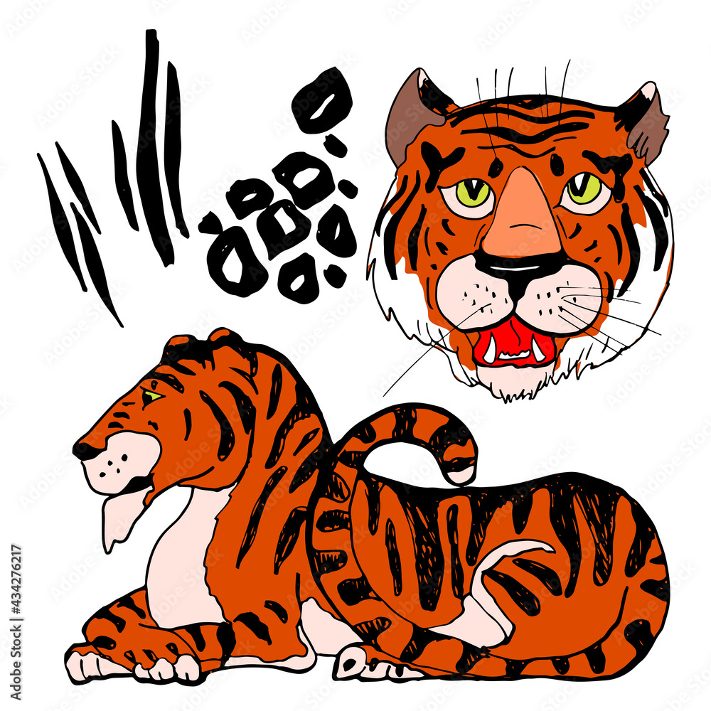 Fototapeta premium Tiger, hand drawn sketch. Vector illustration. Chinese New Year 2022.