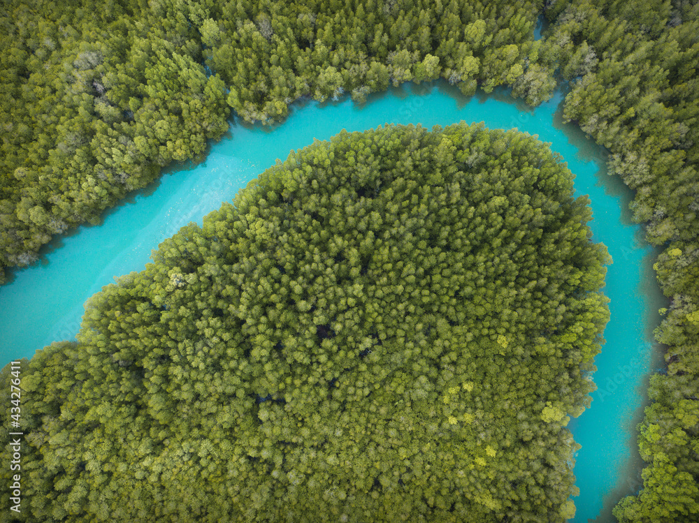 Aerial view above Mangrove forest of Thailand. Taken by drone photography