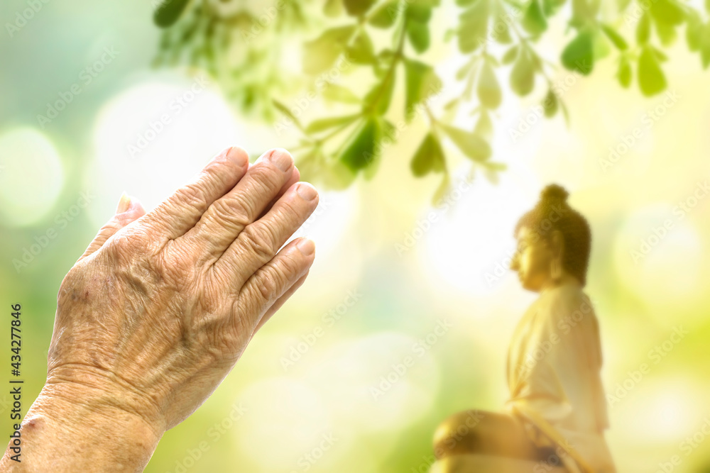 Vesak Day concept: Praying hands with faith in religion and belief in God on Buddha statue nature sunset blurred background Vesak Day concept: Praying hands with faith in religion and belief in God on Buddha statue nature sunset blurred background