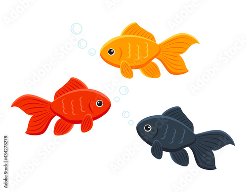 goldfish set, aquarium fish with bubble