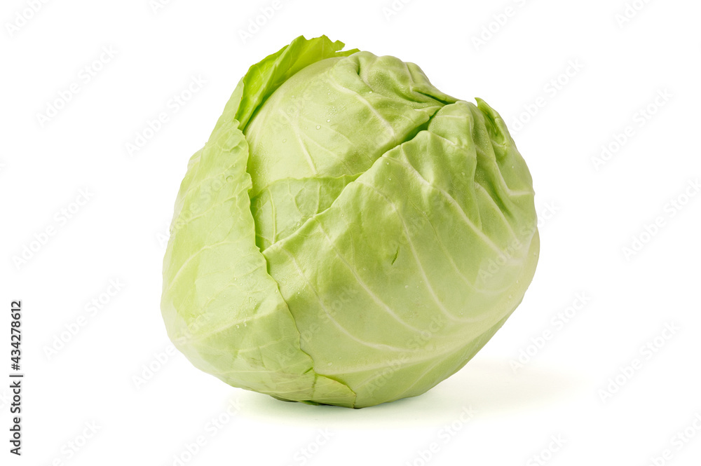 white cabbage isolated on white background. young fresh cabbage white cabbage isolated on white background. young fresh cabbage