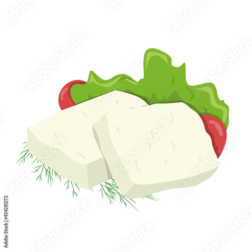 Feta cheese, Greek salted cheese for cooking dishes and salads