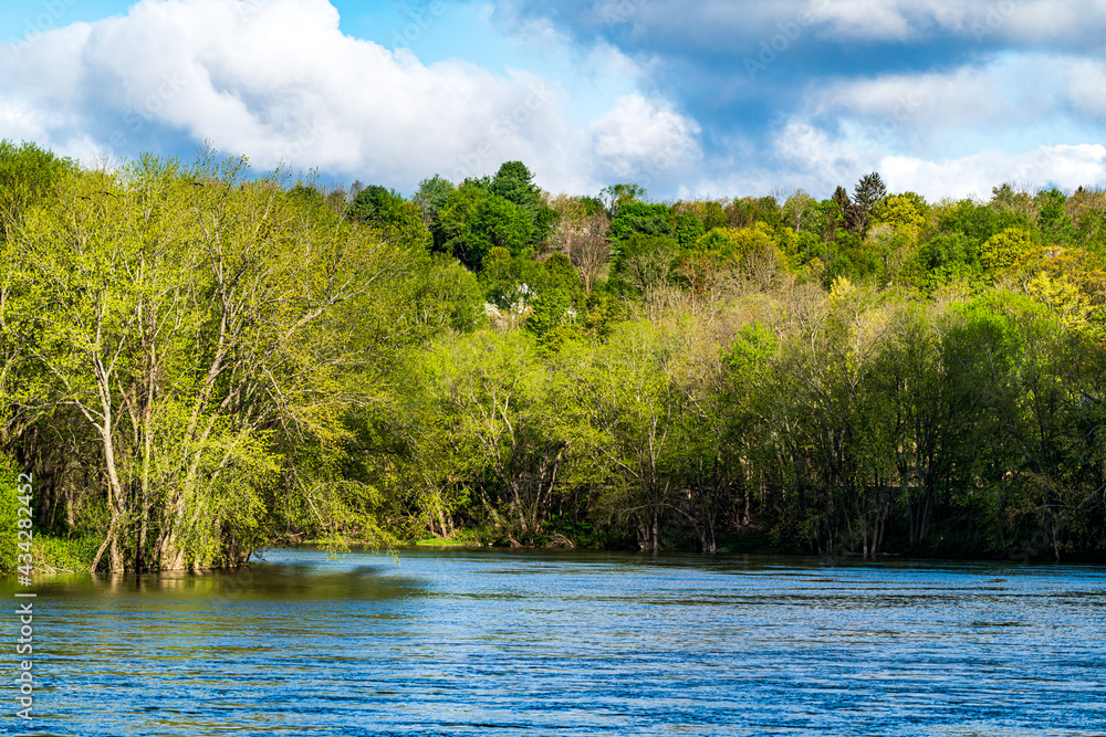 landscape with river and forest landscape with river and forest