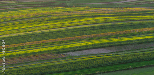 Fields in the western Roztocze in spring