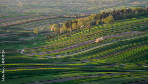 Fields in the western Roztocze in spring