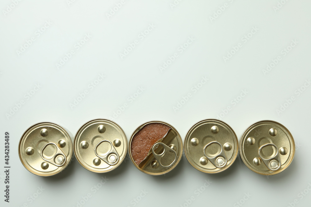Canned food for pets on white background, top view Canned food for pets on white background, top view