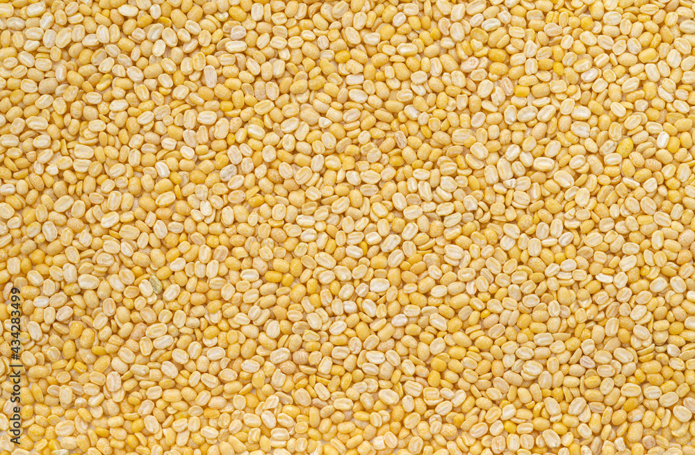 Abstract peeled mung bean texture background